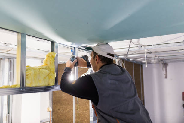 Professional Insulation Contractor in Truman, MN
