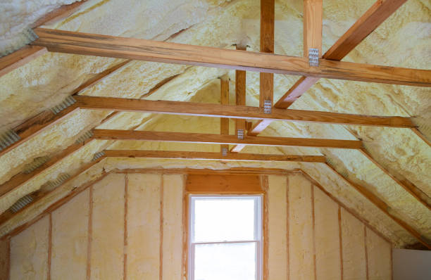 Best Cellulose Insulation in Truman, MN