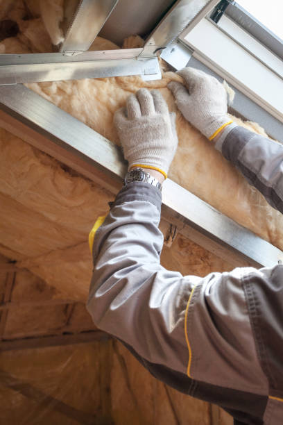 Types of Insulation We Offer in Truman, MN
